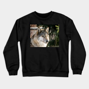 Wolf Crewneck Sweatshirt